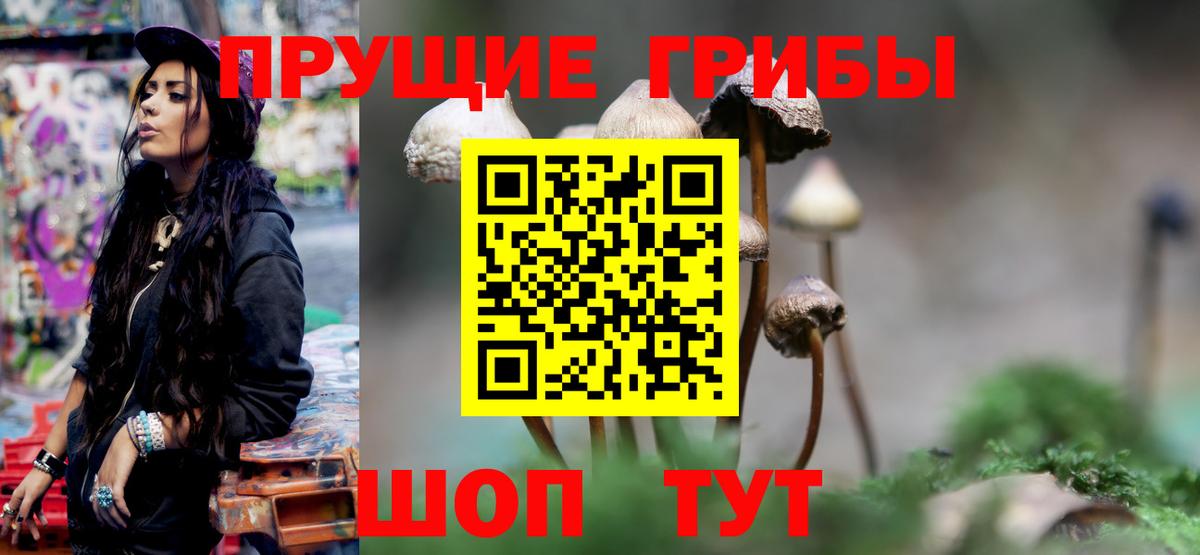 Иваново  Галлюциногенные грибы Magic Shrooms  Вход с VPN 